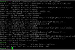 Linux LVM丢失/损坏物理盘pv的情况下恢复部分lv数据|vgreduce vgchange