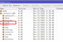 RouterOS CHR开启DHCPv6自动分配IPv6地址